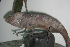escultura de Ulysses Riveros