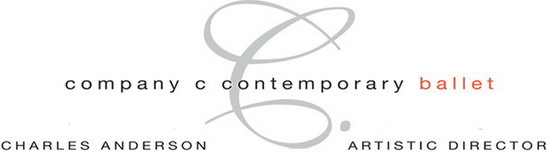 link to Company C website