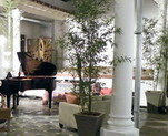 palcopiano